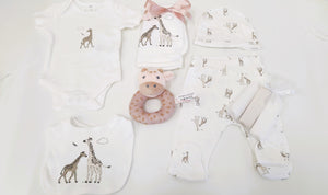 Gorgeous Baby Hamper,10 piece Safari Giraffe gift box hamper, personalised baby gift, baby shower gift, baby boy gift, baby girl gift