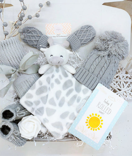 New Unisex Baby Hamper, Cosy Baby, Elephant theme, Puppy, Baby gift, 30milestone cards, Baby shower gift, New Parents gift, Maternity leave